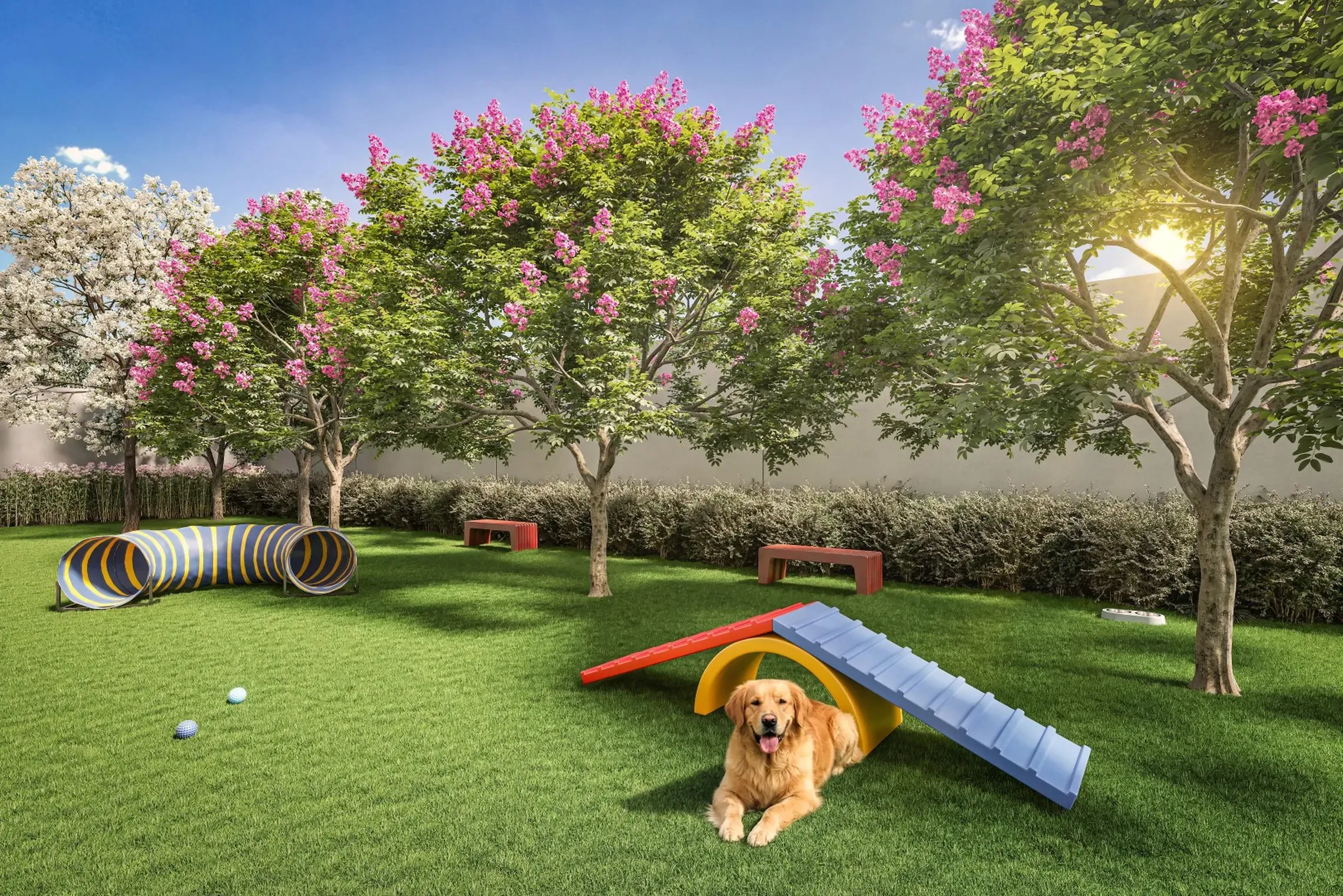 Petplace - Área de lazer do Class Prime em Vila Prudente, São Paulo